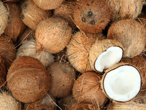 Coconut